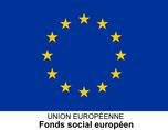 logo FSE - drapeau europe
