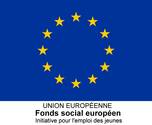 logo FSE - drapeau europe